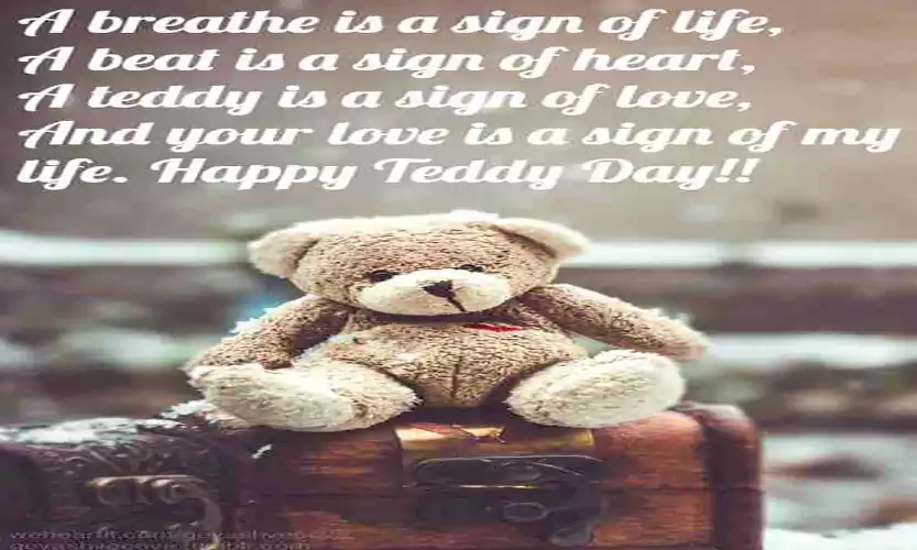 teddy day quotes for girlfriendwife
