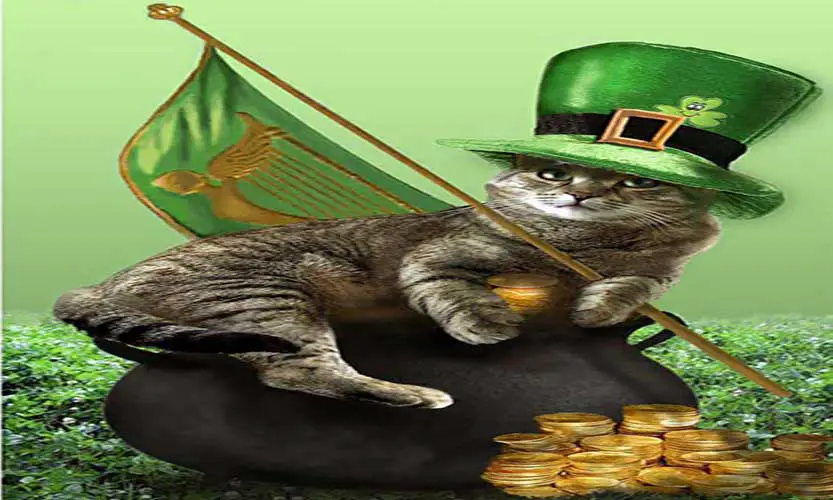 St Patricks Day Cat Images