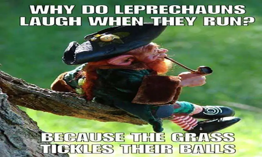 leprechaun memes