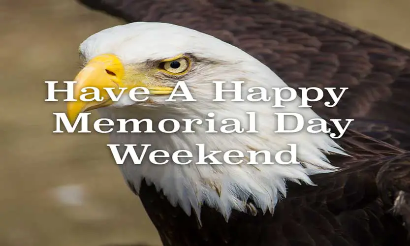 Memorial day eagle images