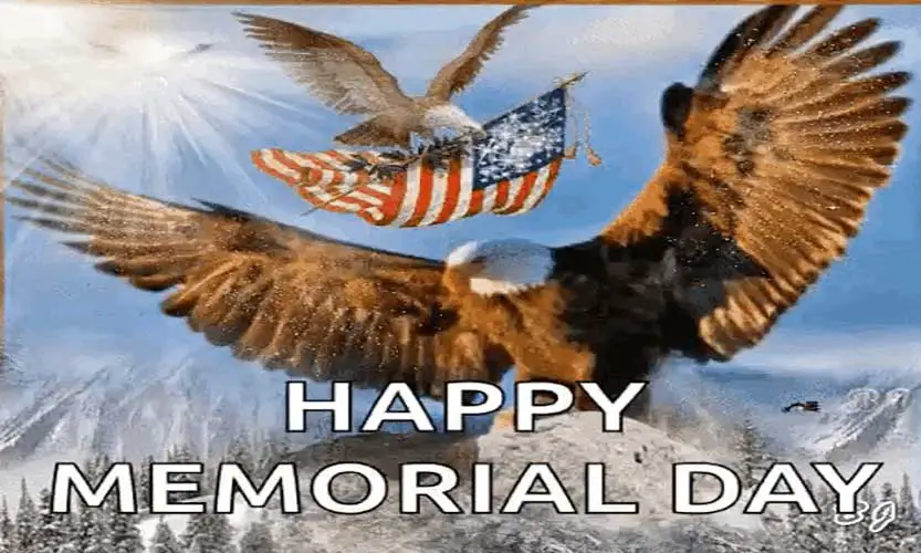 Memorial day eagle images