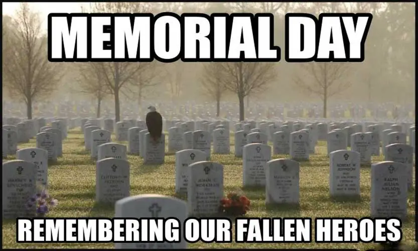 tuesday after memorial day meme