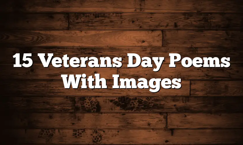 15 Veterans Day Poems With Images