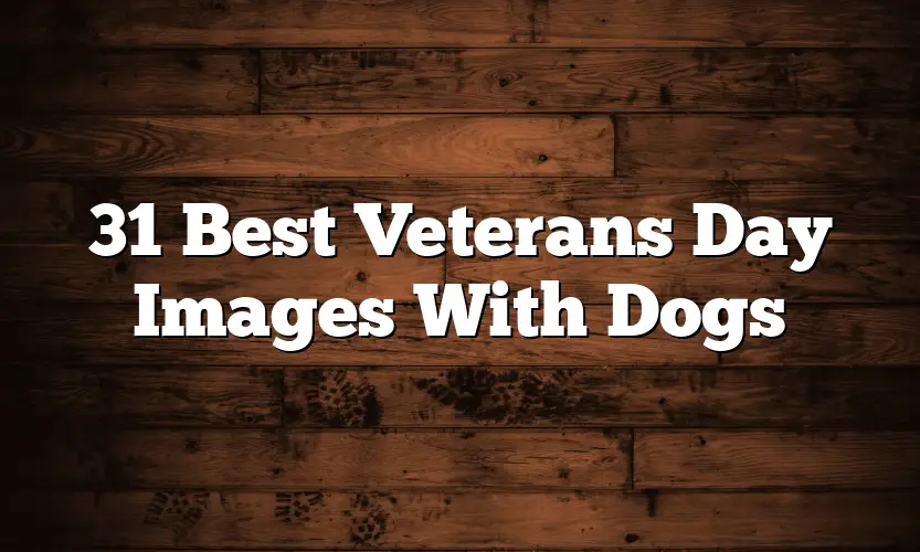 31 Best Veterans Day Images With Dogs