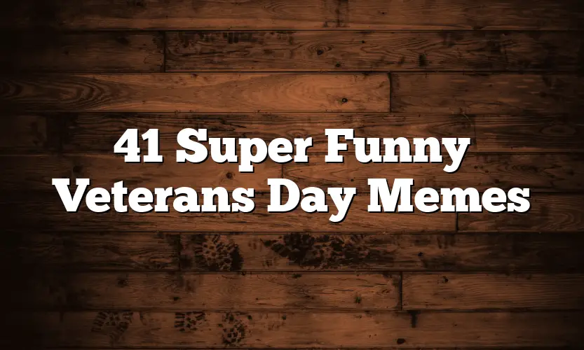 41 Super Funny Veterans Day Memes