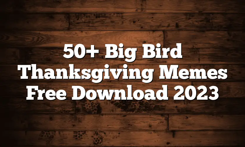 50+ Big Bird Thanksgiving Memes Free Download 2023