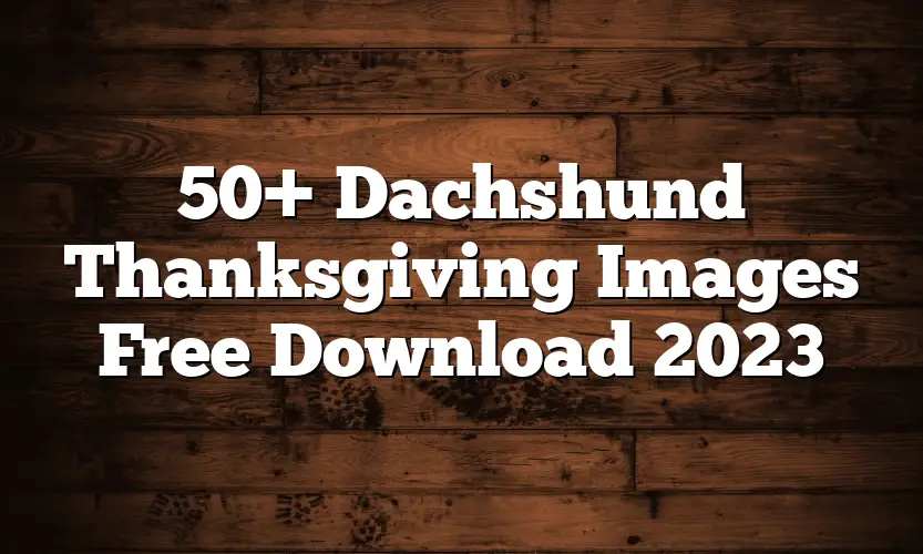 50+ Dachshund Thanksgiving Images Free Download 2023