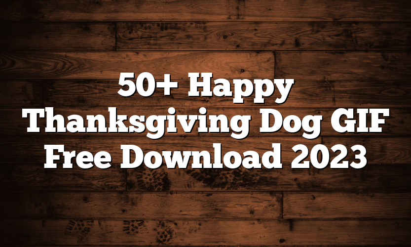 50+ Happy Thanksgiving Dog GIF Free Download 2023