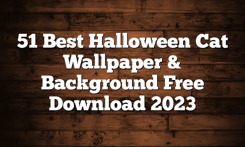 51 Best Halloween Cat Wallpaper & Background Free Download 2023