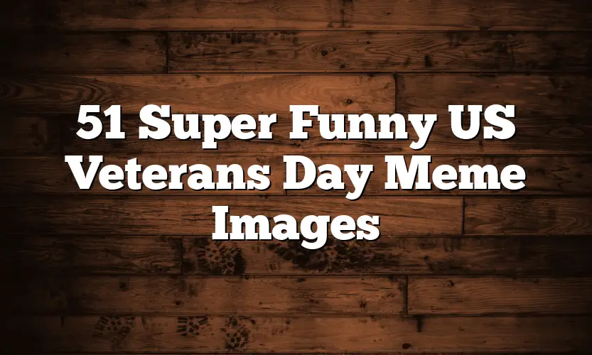 51 Super Funny US Veterans Day Meme Images 