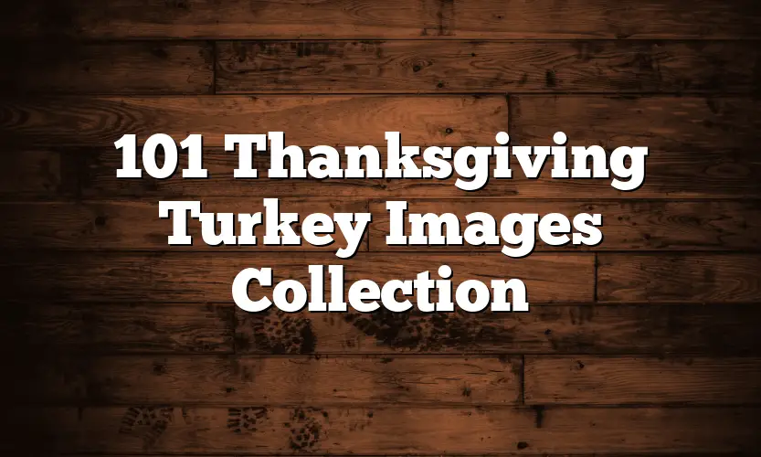 101 Thanksgiving Turkey Images Collection